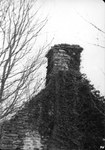Waite Potter House 150: Ivy on Chimney in 1978