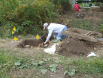 Waite Potter House 460: Archaeological Dig