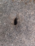 Cory House 026: Drill Hole Close-up