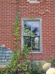 Cory House 048: Window