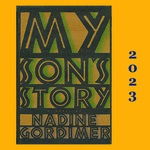 Writing and Political Activism: The Work of South African Writer Nadine Gordimer by Robert Boyers, Claire Messud, and James Wood